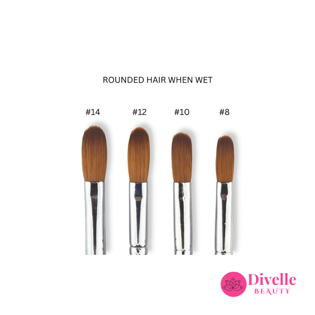 Kolinsky Acrylic Nail Brush for Beginners - Divelle Beauty